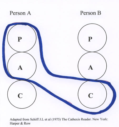 diagrammatic representaion of symbiois